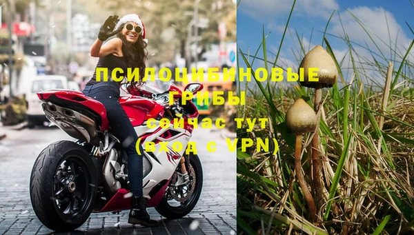 соль ск Алексеевка