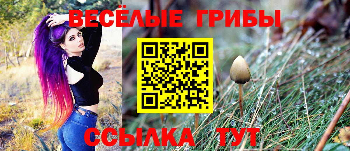 Псилоцибиновые грибы Magic Shrooms Кыштым