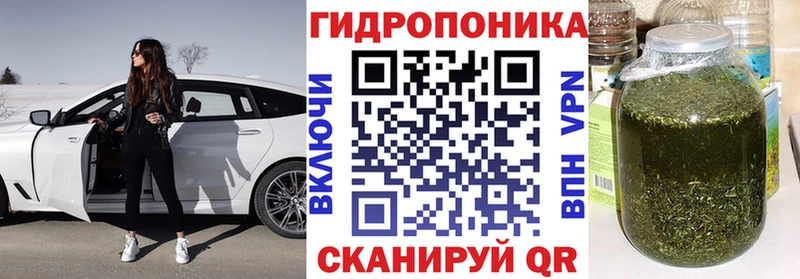 Бошки марихуана конопля  магазин    MEGA зеркало  Кыштым 